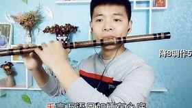 成人笛子怎么学好听视频,跟随视频轻松学会成人笛子演奏技巧