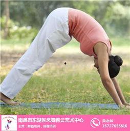 大龙球瑜伽成人教学视频,轻松入门,享受健康生活