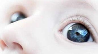 成人眼部调节力训练视频,成人眼部调节力训练视频攻略