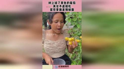 成人吃葡萄视频,成人品尝葡萄的视觉盛宴