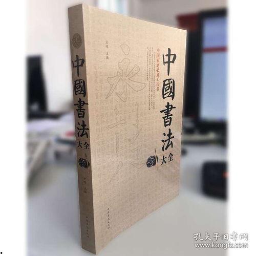 成人书法教程合集视频,成人书法学习的全面指南