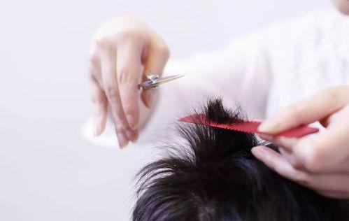 推剪理发成人教程视频,跟随教程视频学剪发