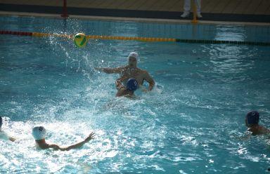 成人比赛水球比赛视频,成人比赛精彩瞬间回顾