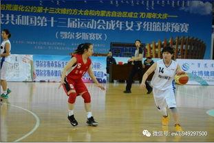 成人花样篮球训练视频,成人舞动魅力,技巧与美感并重